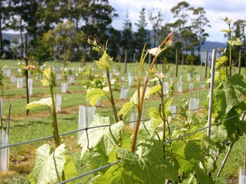 4583 Channel Highway, Middleton TAS 7163