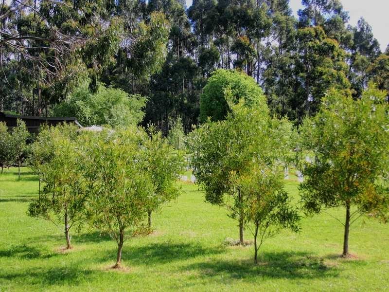 4583 Channel Highway, Middleton TAS 7163