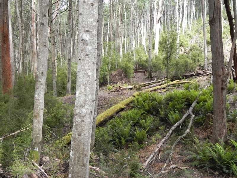 ra Kube Road, Petcheys Bay TAS 7109