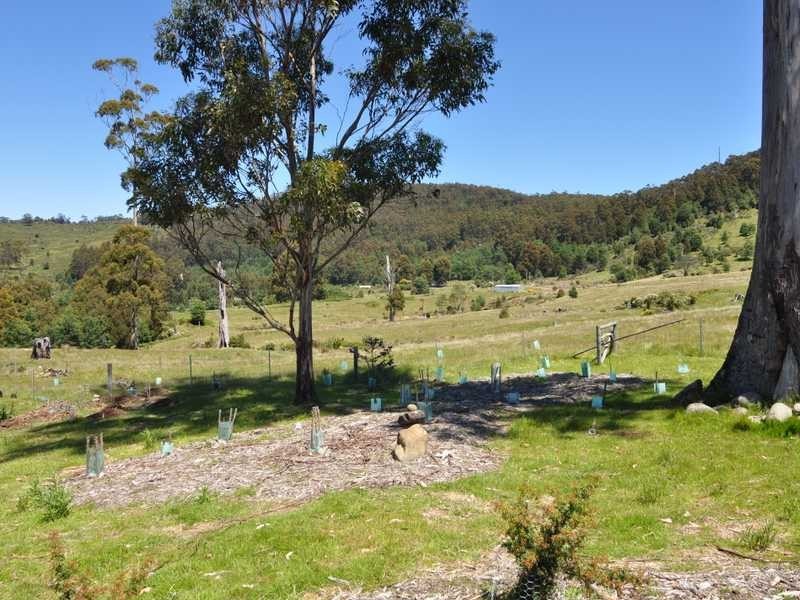380 Dulcia Road, Gordon TAS 7150