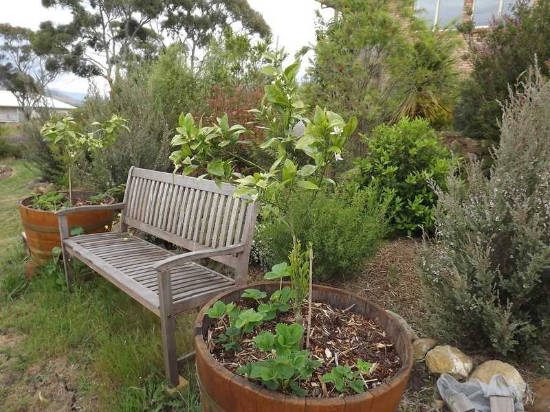 Bridgewater TAS 7030