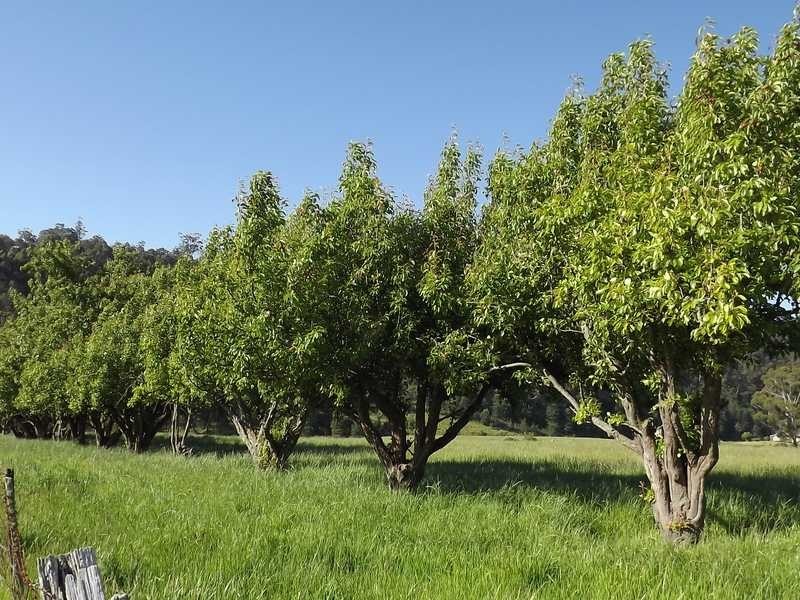 1009 Woodbridge Hill Road, Gardners Bay TAS 7112