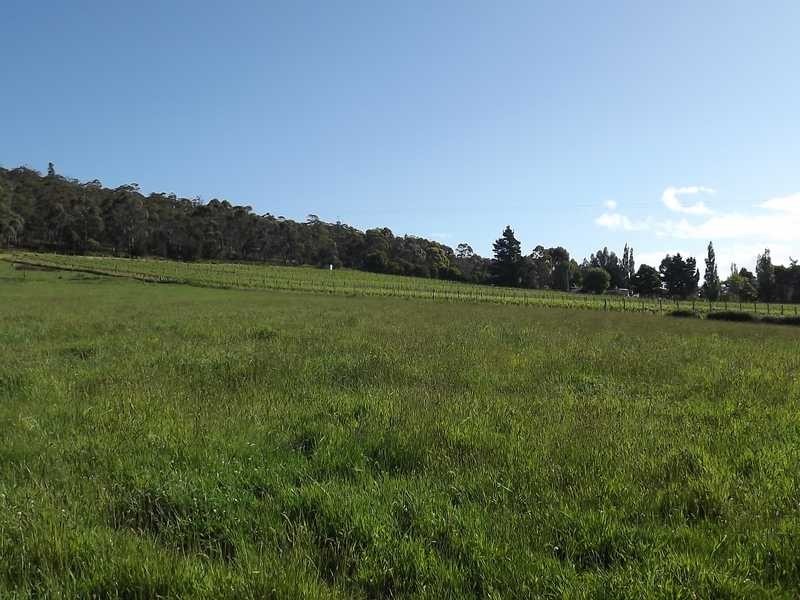 1009 Woodbridge Hill Road, Gardners Bay TAS 7112