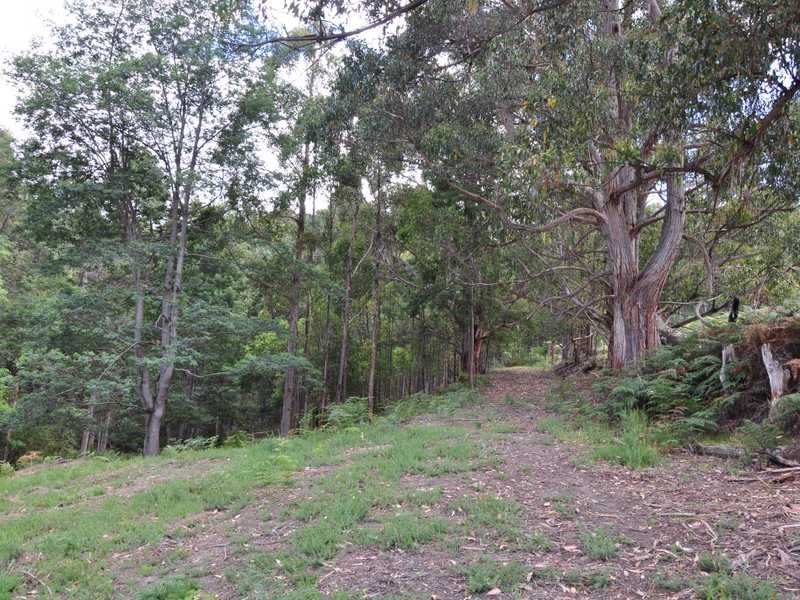 190 Cygnet Coast Road, Lymington TAS 7109