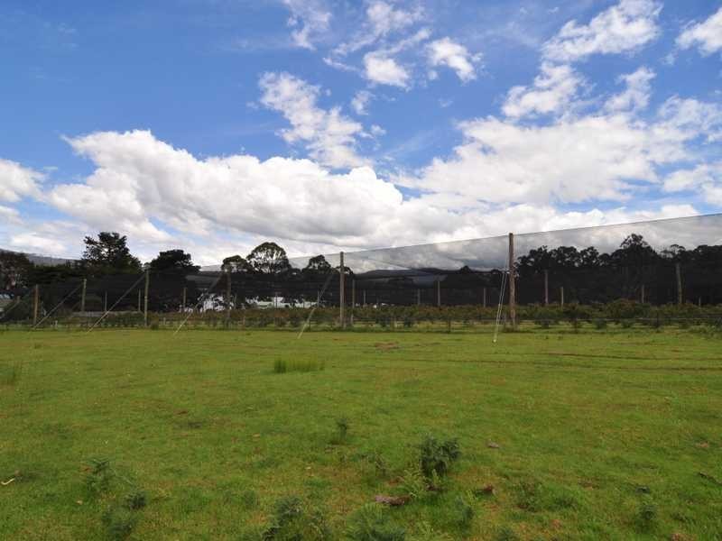 190 Cygnet Coast Road, Lymington TAS 7109