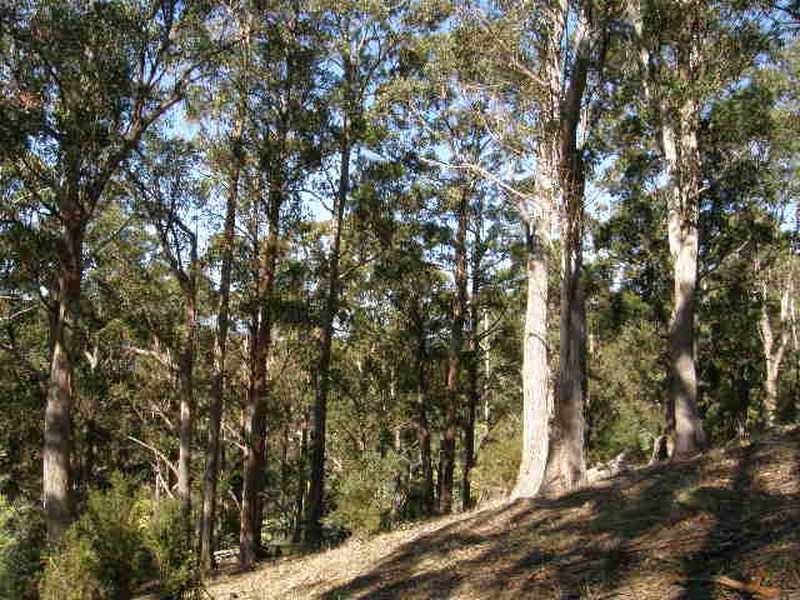 440 Forsters Rivulet Road, Lymington TAS 7109