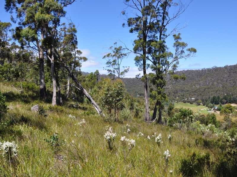 Lot 1 Wolfe’S Road, Gardners Bay TAS 7112