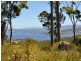 Lot 1 Wolfe’S Road, Gardners Bay TAS 7112