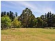 4 Church Street, Cygnet TAS 7112