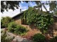 944 Cygnet Coast Road, Lower Wattle Grove TAS 7109