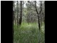 Lot 4 Helms Road, Gardners Bay TAS 7112