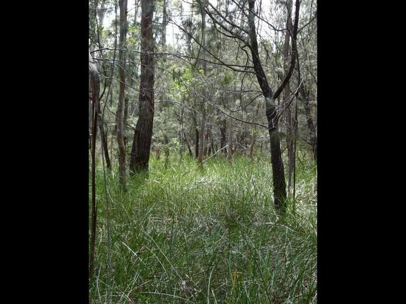 Lot 4 Helms Road, Gardners Bay TAS 7112