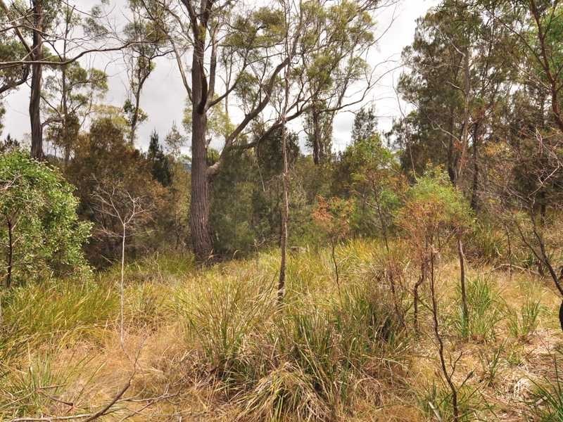 Lot 4 Helms Road, Gardners Bay TAS 7112