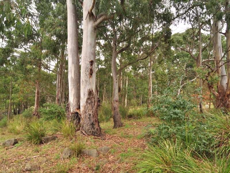 24 Percy Street, Port Huon TAS 7116