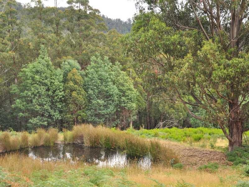 623 Woodbridge Hill Road, Gardners Bay TAS 7112