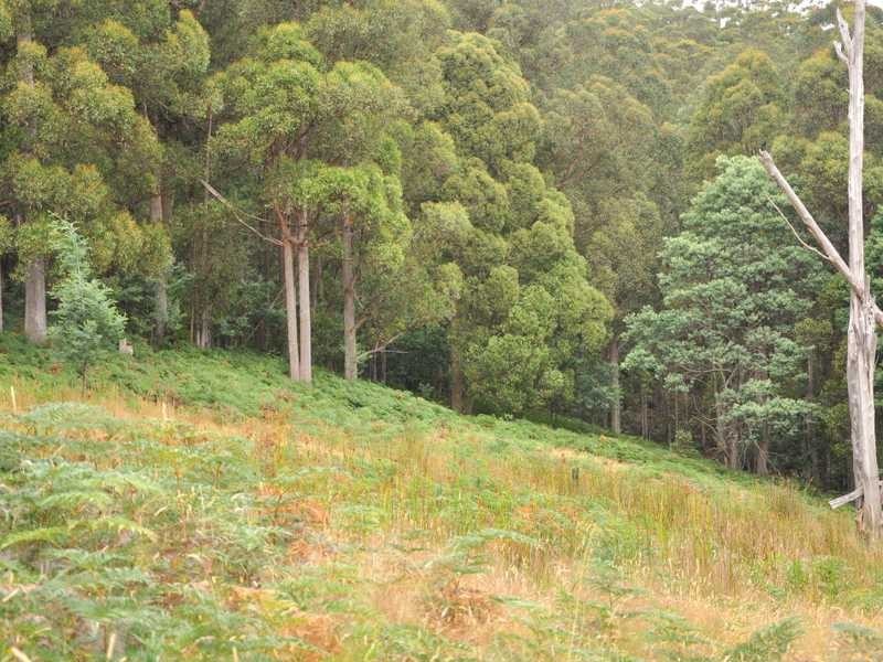 623 Woodbridge Hill Road, Gardners Bay TAS 7112