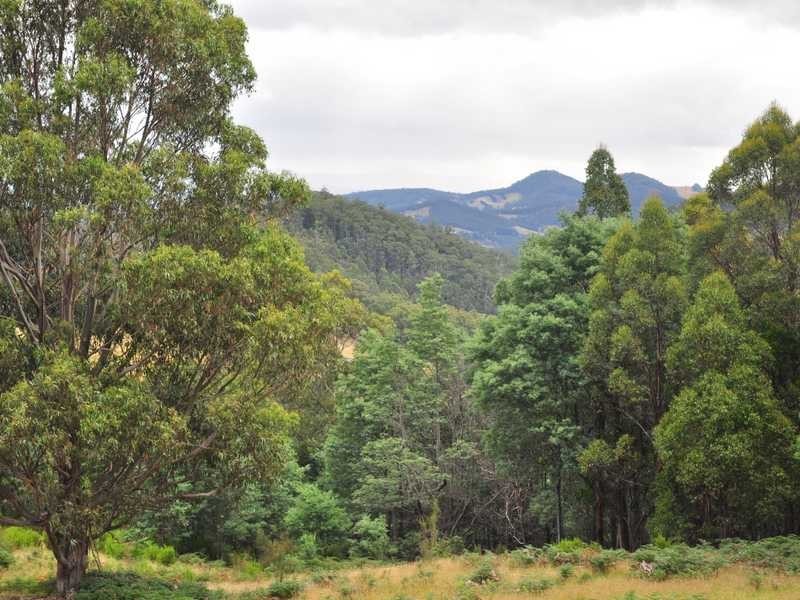 623 Woodbridge Hill Road, Gardners Bay TAS 7112