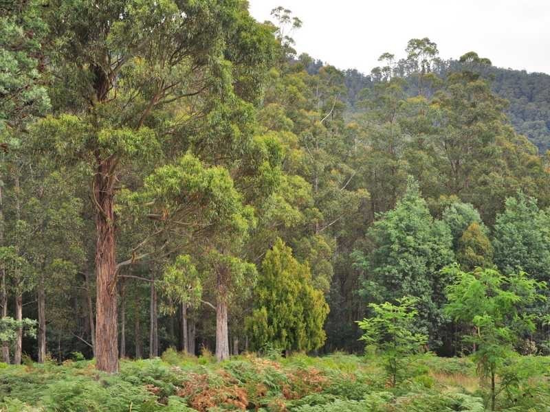 623 Woodbridge Hill Road, Gardners Bay TAS 7112