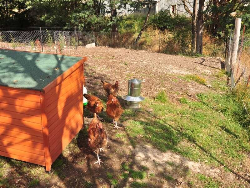 8237 Channel Hwy, Cradoc TAS 7109