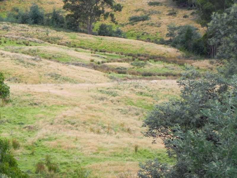 167 Dulcia Road, Gordon TAS 7150