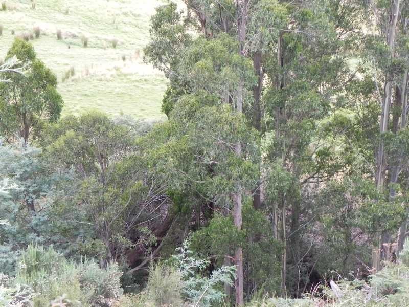 167 Dulcia Road, Gordon TAS 7150