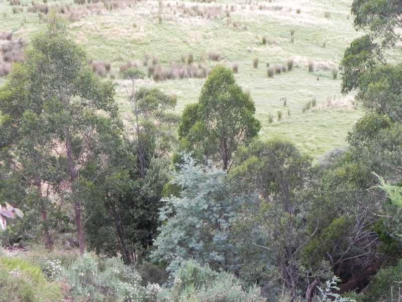 167 Dulcia Road, Gordon TAS 7150