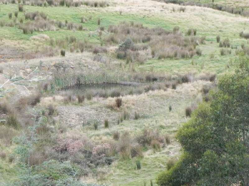 167 Dulcia Road, Gordon TAS 7150