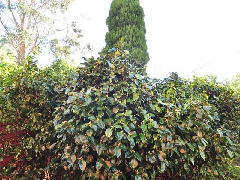 9 Brinsmead Road, Mount Nelson TAS 7007