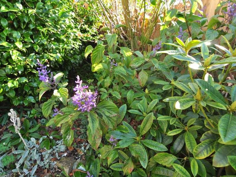 9 Brinsmead Road, Mount Nelson TAS 7007