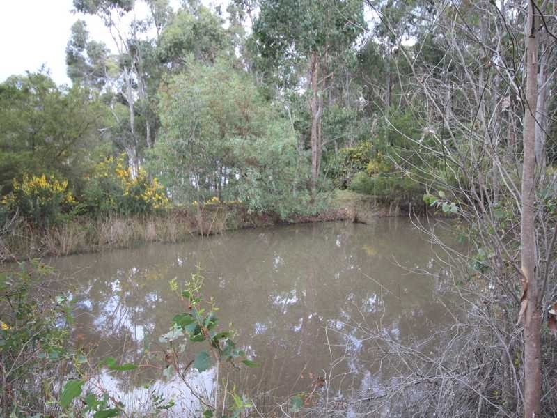 778 Cygnet Coast road, Petcheys Bay TAS 7109