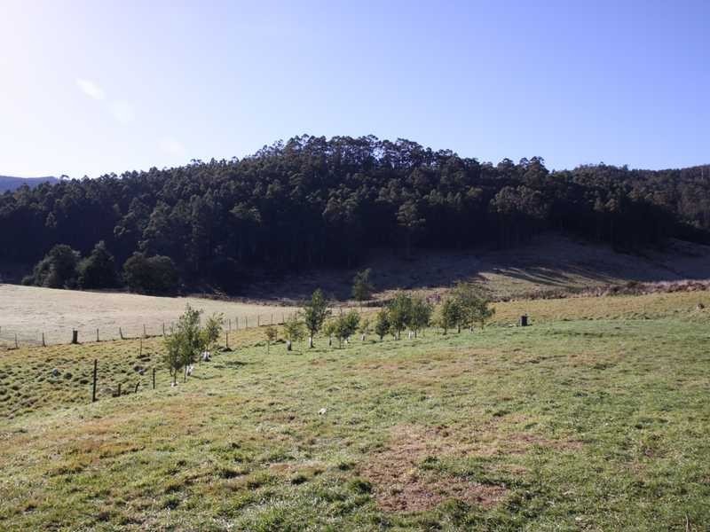 29 Kalonga Road, Nicholls Rivulet TAS 7112