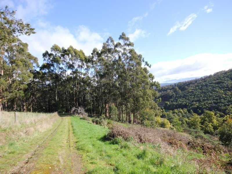 30 Ginns Road, Wattle Grove TAS 7109