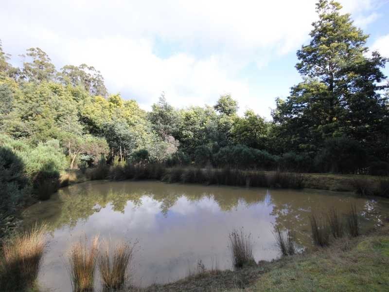 30 Ginns Road, Wattle Grove TAS 7109