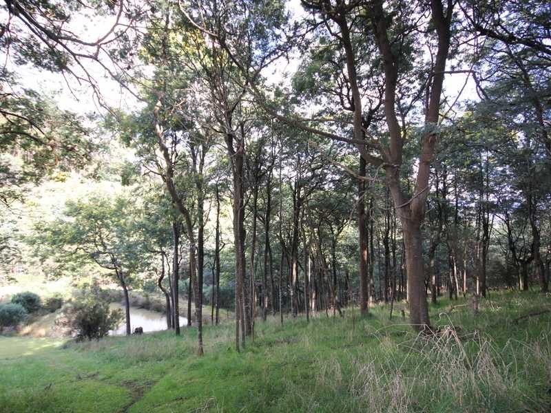 30 Ginns Road, Wattle Grove TAS 7109