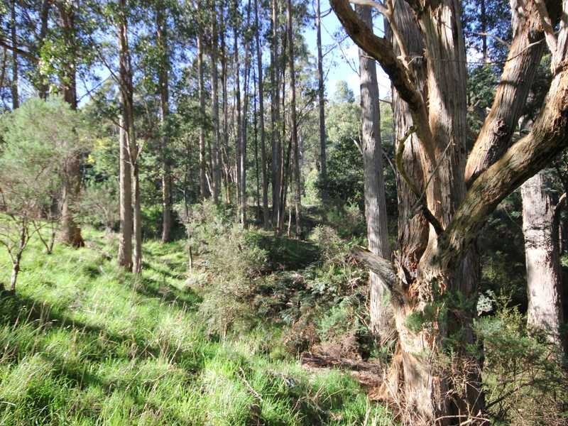 30 Ginns Road, Wattle Grove TAS 7109