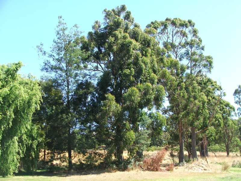 64 Nicholls Road, Lymington TAS 7109