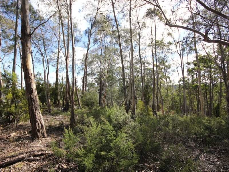 Lot 1 49 Wills Road, Abels Bay TAS 7112