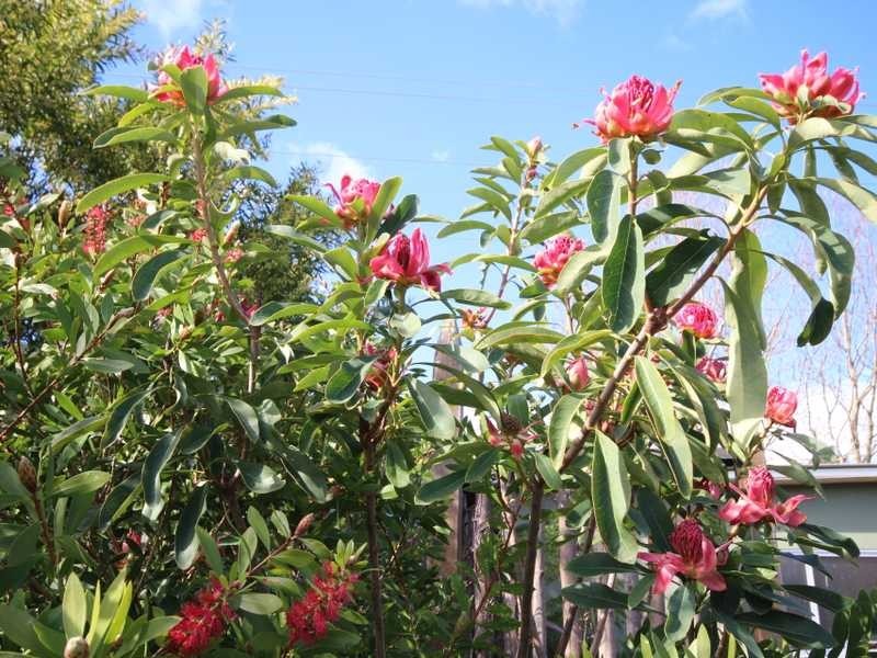 93 Sunday Hill Road, Petcheys Bay TAS 7109