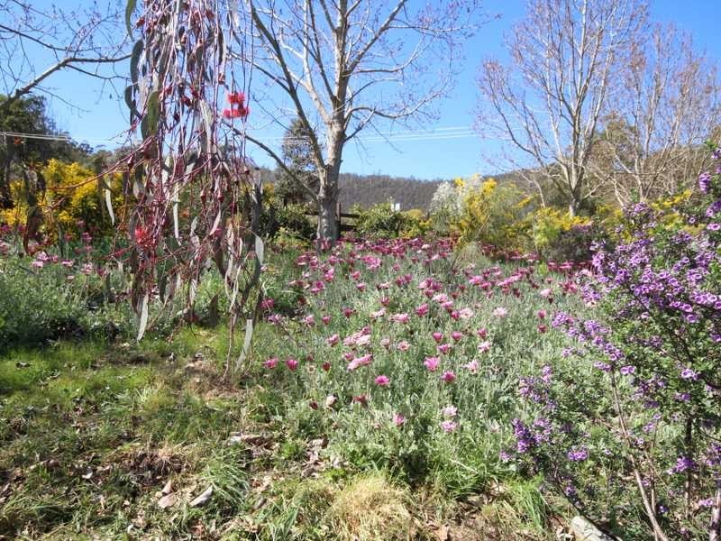 93 Sunday Hill Road, Petcheys Bay TAS 7109