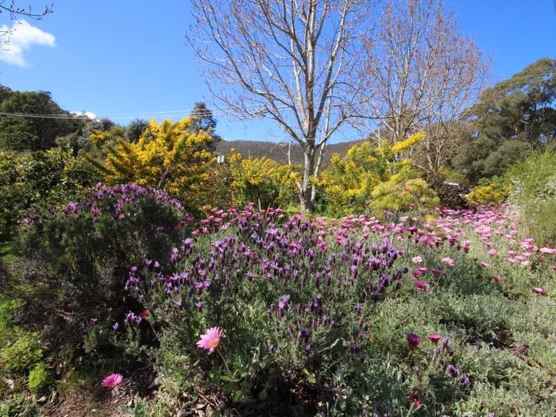 93 Sunday Hill Road, Petcheys Bay TAS 7109