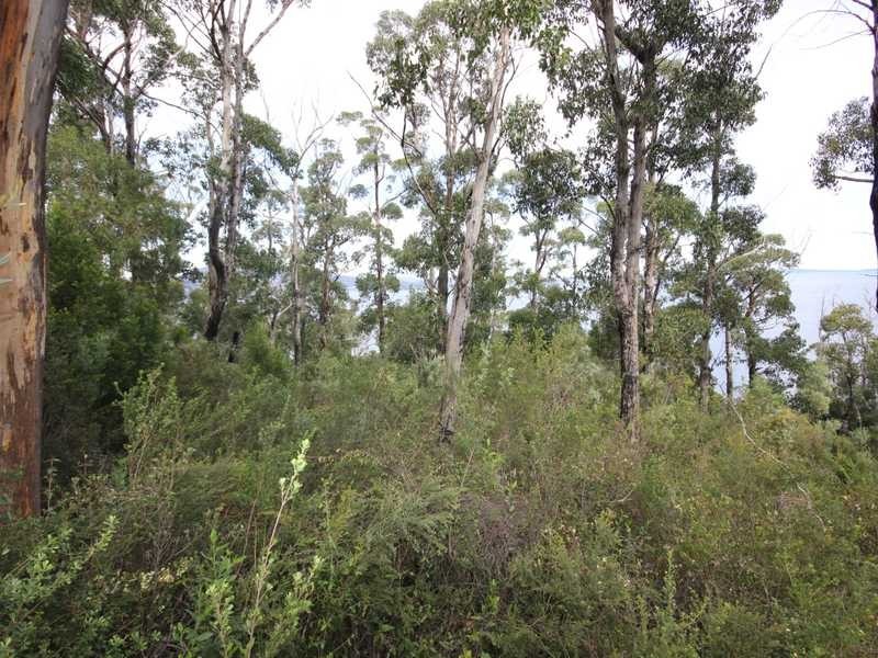 5250 Channel Highway, Gordon TAS 7150