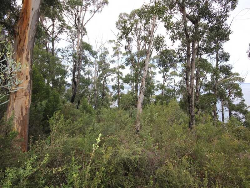 5250 Channel Highway, Gordon TAS 7150