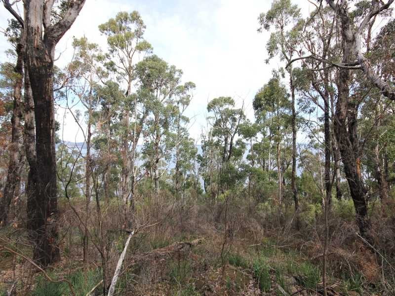 5250 Channel Highway, Gordon TAS 7150