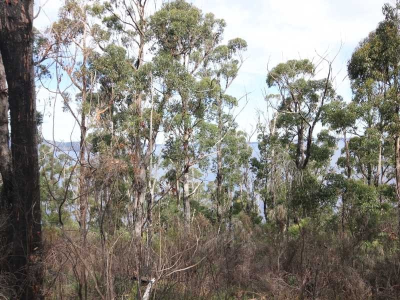 5250 Channel Highway, Gordon TAS 7150