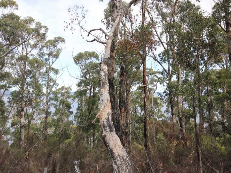 5250 Channel Highway, Gordon TAS 7150