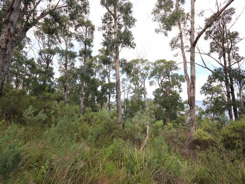 5250 Channel Highway, Gordon TAS 7150