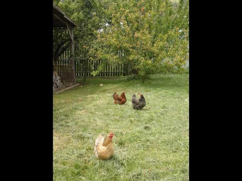 3240 Huon Highway, Franklin TAS 7113