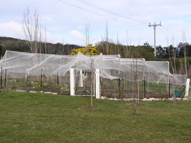 8205 Channel Highway, Cradoc TAS 7109