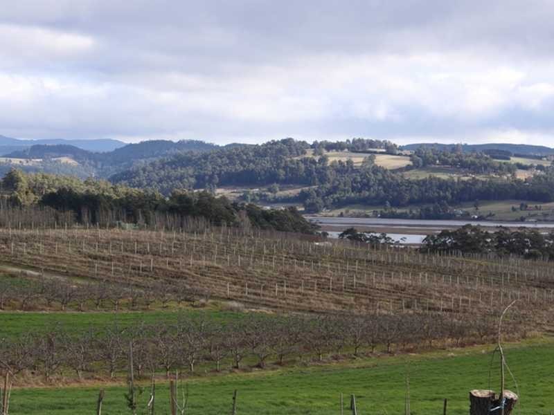 8205 Channel Highway, Cradoc TAS 7109