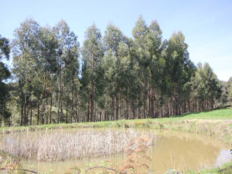 69 Graces Road, Glaziers Bay TAS 7109